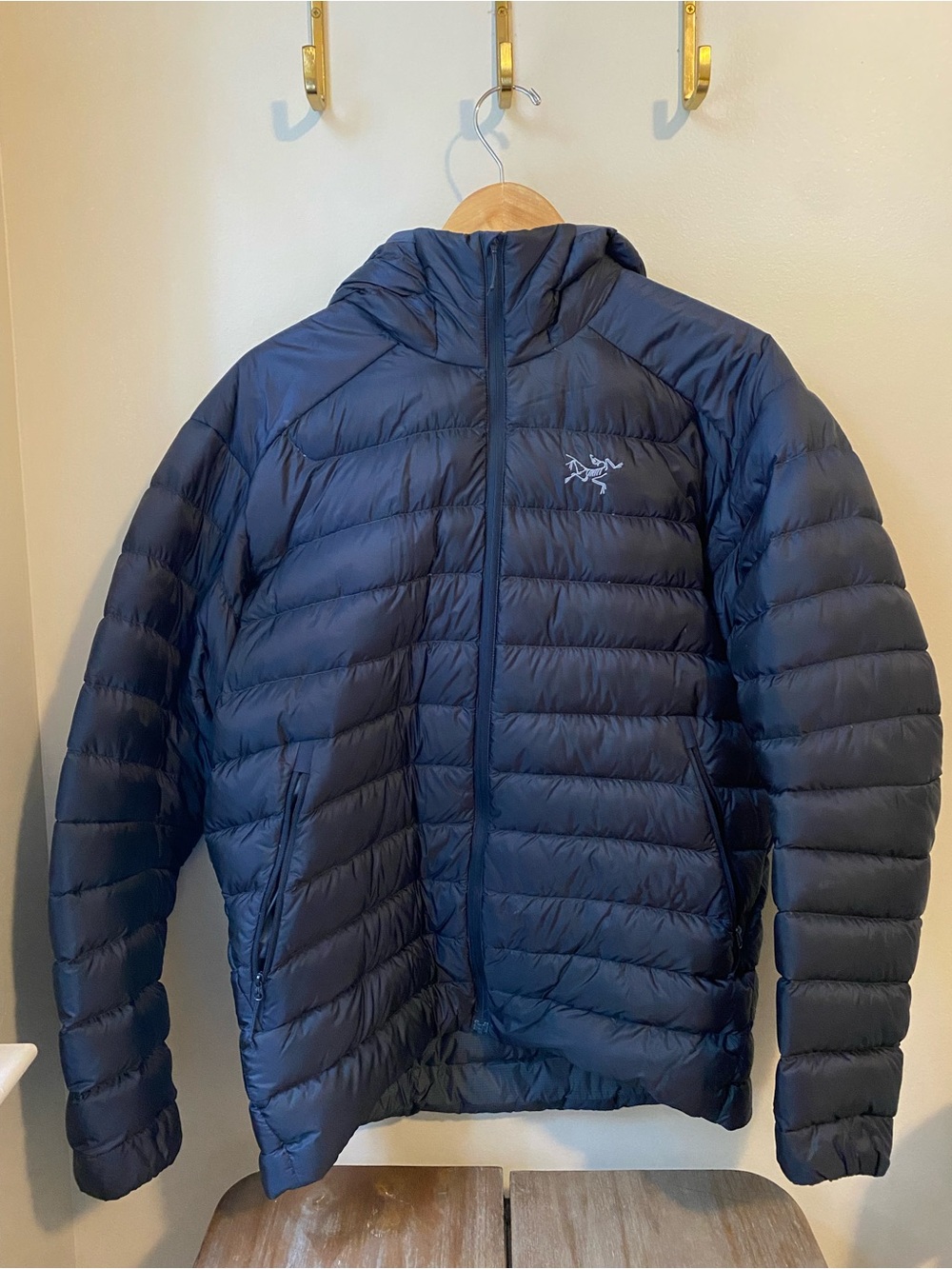 Arc'teryx Goose Down Hooded Puffer Winter Jacket Men’s